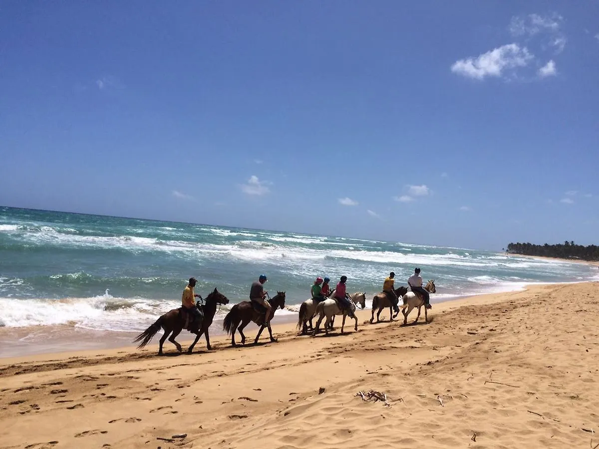 Best Ocean View Punta Cana Apartments - Private Paradise