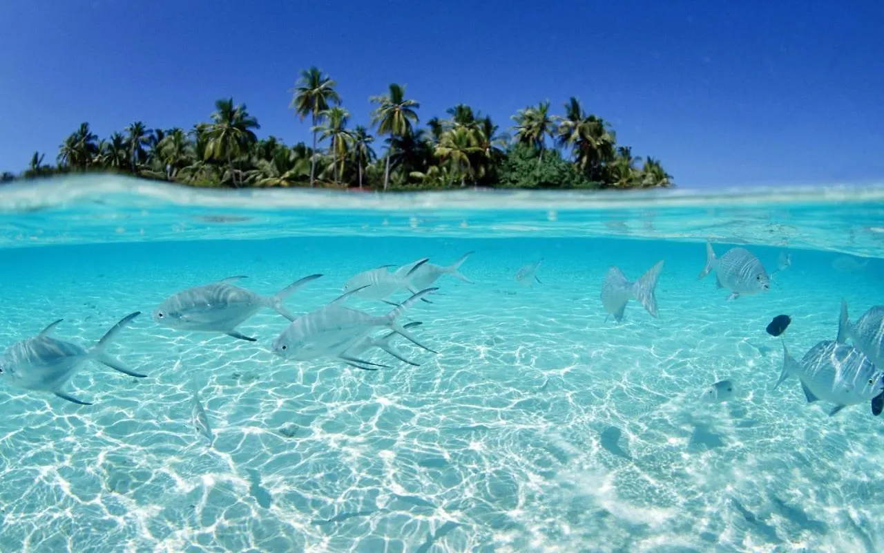 Best Ocean View Punta Cana Apartments - Private Paradise Dominikanische Republik